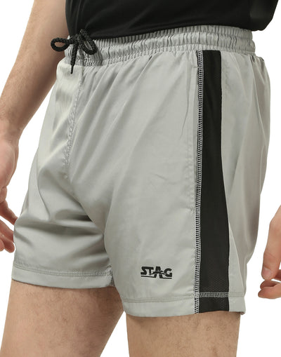 STAG ICONIC: CLASSIC L. GRAY SHORTS SH-CL3 Gray Stag Iconic