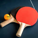 Raquette Tennis De Table Donic Sensation 600 ASG - Revêtement Prestige 1,6 Mm - Homologuée ITTF - 10